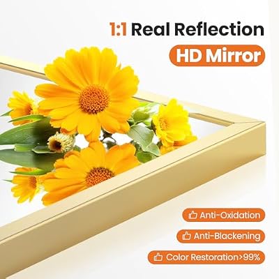 Sweetcrispy 24"x 36" Arched Gold Bathroom Mirrors for Wall - image 4 of 4